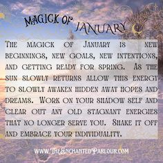 the magic of january is beginning, new goals, new intentionss and getting ready for spring