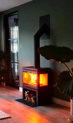 a living room with a wood burning stove next to a potted houseplant