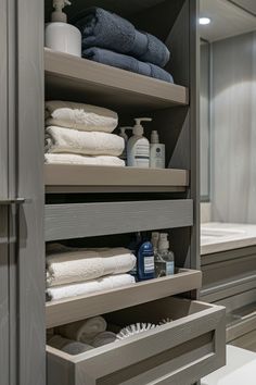 Bathroom Closet Ideas Small Bathroom With Closet, Closet Bathroom Combo, Bathroom Closet Ideas, Bathroom Closet Designs, Toilet Closet, Dark Bathroom Ideas