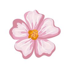 a pink flower on a white background