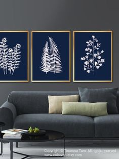 three framed art prints on the wall above a couch in a living room with dark blue walls