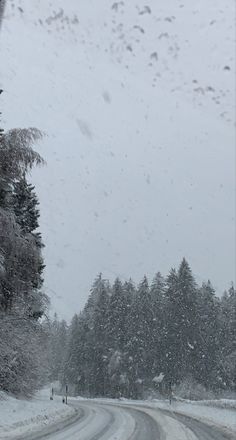 the road is covered in snow and trees