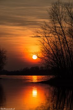 the sun is setting behind some trees on the water's edge in front of an orange and black sky