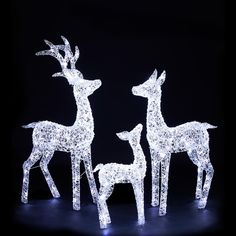 three lighted deer standing next to each other