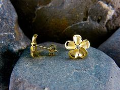 Beautiful, high-quality 925 sterling silver gold-plated Hawaiian Plumeria Flower stud earrings, fixed with Cubic Zirconia gemstone in the center. Great as gifts for those who love beauty, nature and Hawaiian-inspired jewelry. NOTE! Each flower is approximately 0.5 inches wide from petal to petal. Mahalo for supporting our small business! <3 Flower Shaped Earrings With Prong Setting As Gift, Gift Flower Earrings With Prong Setting, Flower Shaped Earrings As A Gift, Gold Cubic Zirconia Flower Earrings For Gift, Gold Cubic Zirconia Flower Earrings As Gift, Gold Flower Earrings With Prong Setting As Gift, Sterling Silver Flower Earrings With Prong Setting As Gift, Hawaiian Plumeria, Dope Jewelry