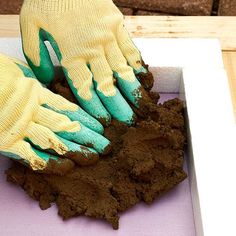 a pair of gloves that are on top of some dirt in a white box,