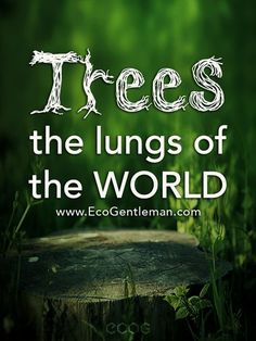 a tree stump with the words trees, the lungs of the world on it in front of green grass