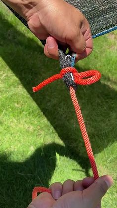 a person is holding a red rope with a bird on it in their hand,