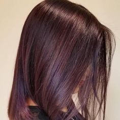 All Over Dark Burgundy Hair Color, Eggplant Brunette Hair, Swartzkopf Hair Color Formula, Chocolate Purple Hair, Violet Hair Highlights, Red Mahogany Hair Color, Dark Colored Hair, Rose Highlights