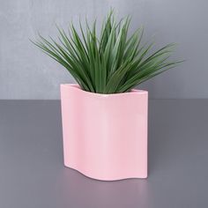 a plant in a pink vase on a table