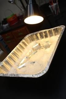 an aluminum foil tray with a light hanging above it