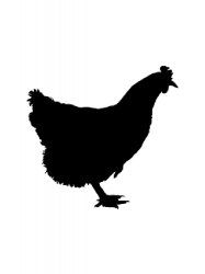 a black and white silhouette of a chicken