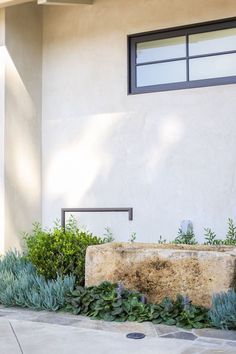 an outside view of a building with plants and bushes