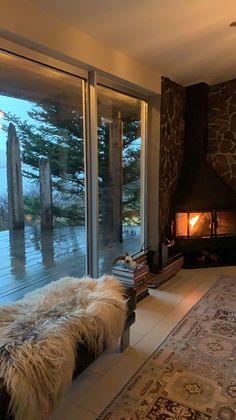 a living room filled with furniture and a fire place next to a large glass window