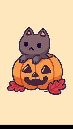 a cat sitting on top of a pumpkin