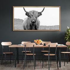 a black and white photo of a long haired cow in a dining room with chairs