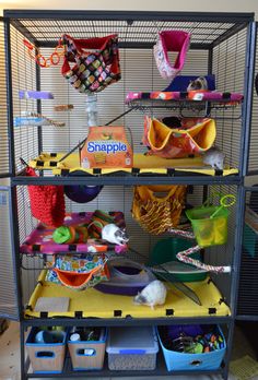 a bird cage filled with lots of different items