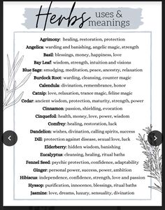 New Orleans Witch, Herbs List, Magickal Herbs, Green Witchcraft, Magia Das Ervas, Witch Spirituality, Magic Spell Book, Grimoire Book