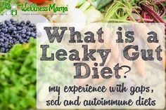 A leaky gut diet helps with food allergies, behavior problems, autoimmune conditions and more. We used a mixture of GAPS, SCD and autoimmune diets. Elemental Diet, Gut Diet, Gut Problems, Heal Leaky Gut, Autoimmune Diet, Specific Carbohydrate Diet, Wellness Mama, Gaps Diet