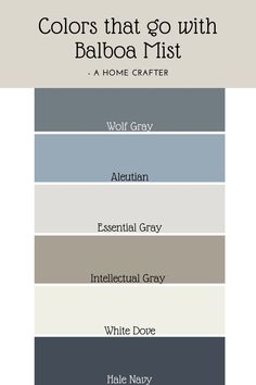 the colors that go with this paint scheme are gray, white and grey in different shades