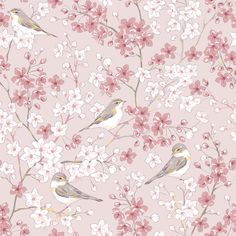 Willow Warbler Bird in Spring Sakura Cherry Blossom Garden Wallpaper Dining Room Mural, Cherry Blossom Garden, Dining Room Murals, Blossom Wallpaper, Cherry Blossom Wallpaper, Romantic Nature, Blossom Garden, Sakura Cherry Blossom, Watercolor Wallpaper