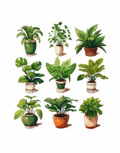 a bunch of potted plants sitting on top of each other