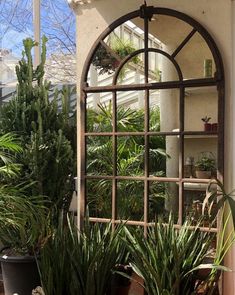 an arched window is surrounded by potted plants