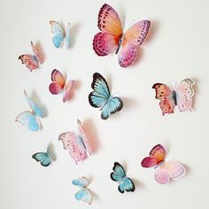 a group of colorful butterflies on a white surface