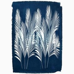 blue and white drawing of palm leaves