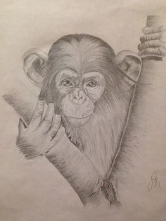 a drawing of a monkey holding onto a piece of paper with his hand on it