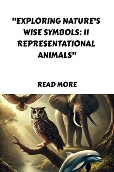 an elephant and dolphin are in front of the caption that reads, exploring nature's wise symbols ii representational animals read more