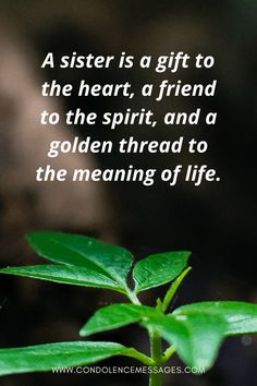 a green plant with the words, a sister is a gift to the heart, a friend to the spirit, and a golden thread to the meaning of life