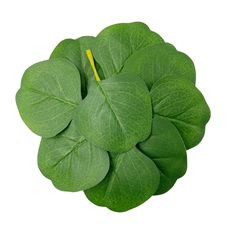 a green leafy plant on a white background