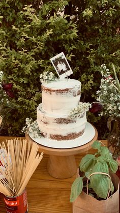 a white cake sitting on top of a wooden table next to potted plants and flowers