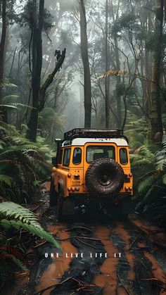 a yellow jeep driving through a forest filled with trees