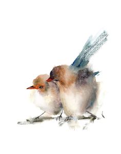 two small birds sitting next to each other on a white surface with watercolor paint