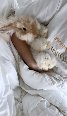 a person laying in bed with a stuffed animal on top of their arm and pillow