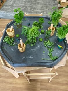 a table with some plants on it and writing on the top that says herbs