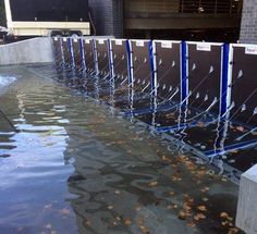 the water is very high and it looks like they are going to flood into the street