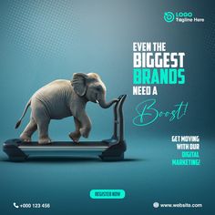 an elephant on a treadmill with the caption even the biggest brands need a booster