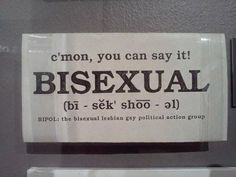 a sign that is on the side of a refrigerator saying, i'm not you can say it bisexual