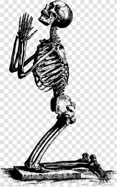 a skeleton is holding his hands up in the air while standing on its hind legs