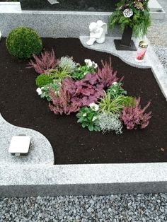 a garden with various plants and rocks in the ground next to each other on top of a stone slab