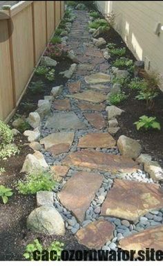 a stone path in the middle of a yard