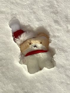 a teddy bear in the snow wearing a santa hat