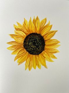 a painting of a sunflower on a white background