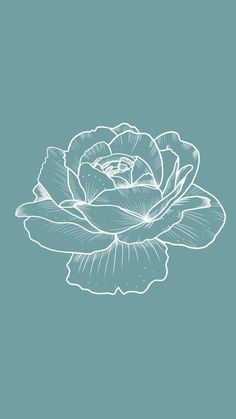 a drawing of a flower on a gray background