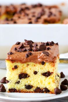 a piece of cake on a plate with chocolate chips