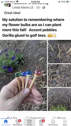 a person holding three small wooden spoons in their hand, with the caption'my solution to remember where my flower bulbs are so i can plant more than more this fall accent pebbles gorilla glad to golf