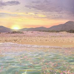 the sun is setting over some mountains and flowers in the water at the edge of the beach